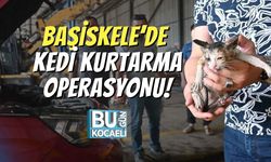 Başiskele’de Kedi Kurtarma Operasyonu!