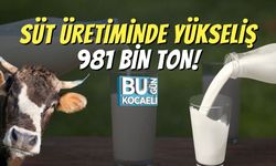 Süt Üretiminde Yükseliş: 981 Bin Ton!