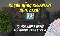 Kaçak Ağaç Kesenlere Ağır Ceza! 10 Yıla Kadar Hapis, Milyonluk Para Cezası