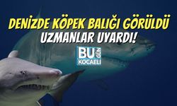 Denizde Köpek Balığı Görüldü, Uzmanlar Uyardı!