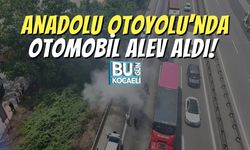 Anadolu Otoyolu’nda Otomobil Alev Aldı!