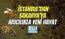 İstanbul’dan Sakarya’ya: Arıcılıkla Yeni Hayat