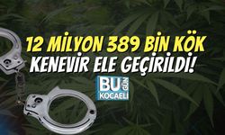 12 Milyon 389 Bin Kök Kenevir Ele Geçirildi!
