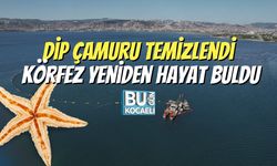 Dip Çamuru Temizlendi, Körfez Yeniden Hayat Buldu
