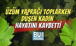 Üzüm Yaprağı Toplarken Düşen Kadın Hayatını Kaybetti
