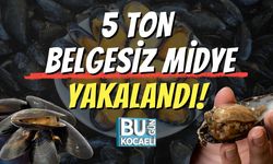 5 Ton Belgesiz Midye Yakalandı!