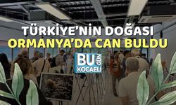 Türkiye’nin Doğası Ormanya’da Can Buldu