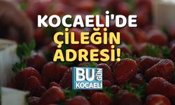 Kocaeli'de Çileğin Adresi!