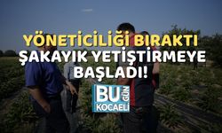 Yöneticiliği Bıraktı, Şakayık Yetiştirmeye Başladı!