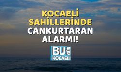 Kocaeli Sahillerinde Cankurtaran Alarmı!