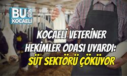 Kocaeli Veteriner Hekimler Odası Uyardı: Süt Sektörü Çöküyor