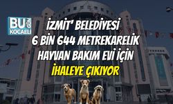 İzmit' Belediyesi 6 bin 644 metrekarelik hayvan bakım evi için ihaleye çıkıyor