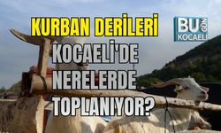 Kurban Derileri Kocaeli'de Nerelerde Toplanıyor?