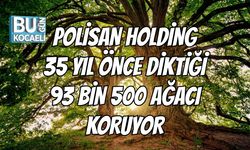 Polisan Holding 35 Yıl Önce Diktiği 93 Bin 500 Ağacı Koruyor