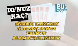 IQ’nuz Kaç? Eğer Bu Rakamın Altındaysanız Ehliyet Alamayacaksınız!