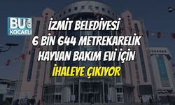 İzmit Belediyesi 6 bin 644 metrekarelik hayvan bakım evi için ihaleye çıkıyor