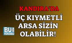 Kandıra’da Üç Kıymetli Arsa Sizin Olabilir!