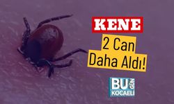 Kene 2 Can Daha Aldı!
