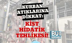 Kurban Atıklarına Dikkat: Kist Hidatik Tehlikesi!