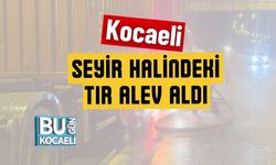 Kocaeli Seyir Halindeki TIR Alev Aldı