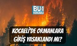 Kocaeli'de Ormanlara Giriş Yasaklandı Mı?