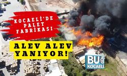 Kocaeli'de Palet Fabrikası Alev Alev Yanıyor!