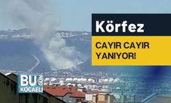 Körfez Cayır Cayır Yanıyor!
