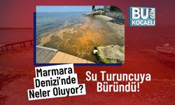 Marmara Denizi’nde Neler Oluyor? Su Turuncuya Büründü!