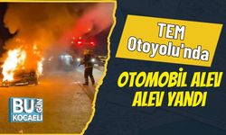 TEM Otoyolu'nda Otomobil Alev Alev Yandı