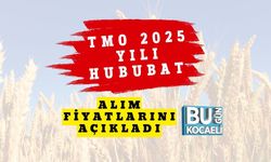 TMO 2025 Yılı Hububat Alım Fiyatlarını Açıkladı