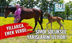 Yıllarca Emek Verdi; Şimdi Soluksuz Yarışlarını İzliyor!