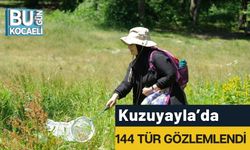 Kuzuyayla’da 144 Tür Gözlemlendi