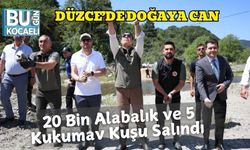 Düzce’de Doğaya Can: 20 Bin Alabalık ve 5 Kukumav Kuşu Salındı