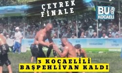 Çeyrek Finale 3 Kocaelili Başpehlivan Kaldı