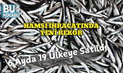 Hamsi İhracatında Yeni Rekor: 6 Ayda 19 Ülkeye Satıldı