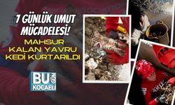 7 Günlük Umut Mücadelesi! Mahsur Kalan Yavru Kedi Kurtarıldı