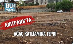 Anıtpark’ta Ağaç Katliamına Tepki
