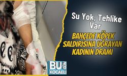 Su Yok, Tehlike Var: Bahçede Köpek Saldırısına Uğrayan Kadının Dramı