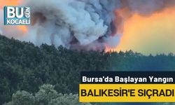 Bursa'da Başlayan Yangın Balıkesir'e Sıçradı