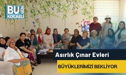 Asırlık Çınar Evleri Büyüklerimizi Bekliyor