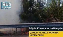 Düğün Konvoyundaki Meşale Çamlık Alanda Yangına Neden Oldu