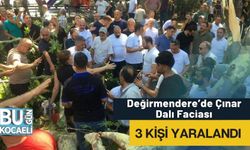 Değirmendere’de Çınar Dalı Faciası: 3 Kişi Yaralandı