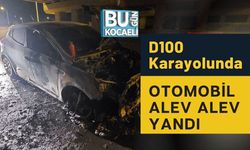 D100 Karayolunda Otomobil Alev Alev Yandı