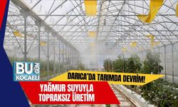 Darıca’da Tarımda Devrim! Yağmur Suyuyla Topraksız Üretim