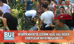 Değirmendere'de Üzerine Ağaç Dalı Düşen Erdem Ulak Hayatını Kaybetti