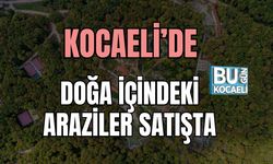 Kocaeli’de Doğa İçindeki Araziler Satışta