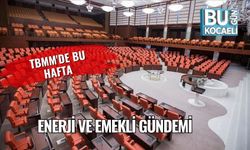 TBMM'de Bu Hafta Enerji ve Emekli Gündemi