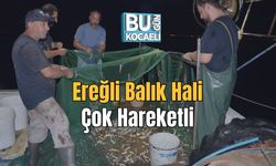 Ereğli Balık Hali Çok Hareketli