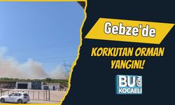 Gebze'de Korkutan Orman Yangını!