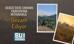 Gebze’deki Orman Yangınına Müdahale Devam Ediyor